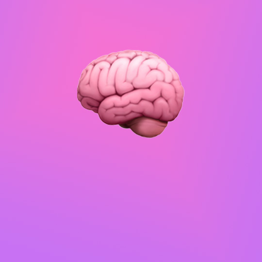 brain